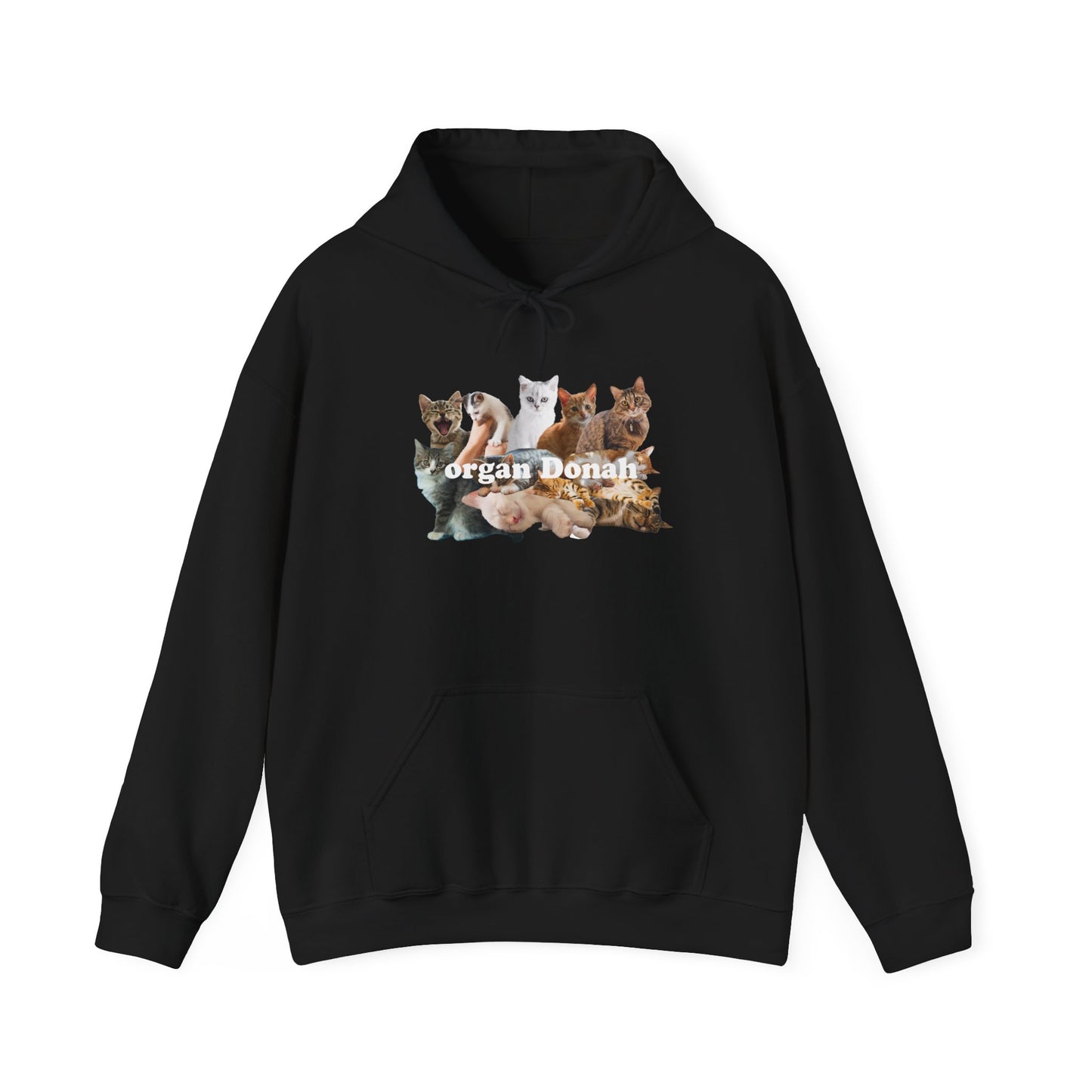 Cats hoodie