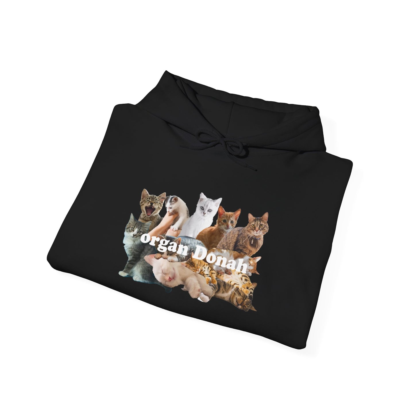 Cats hoodie