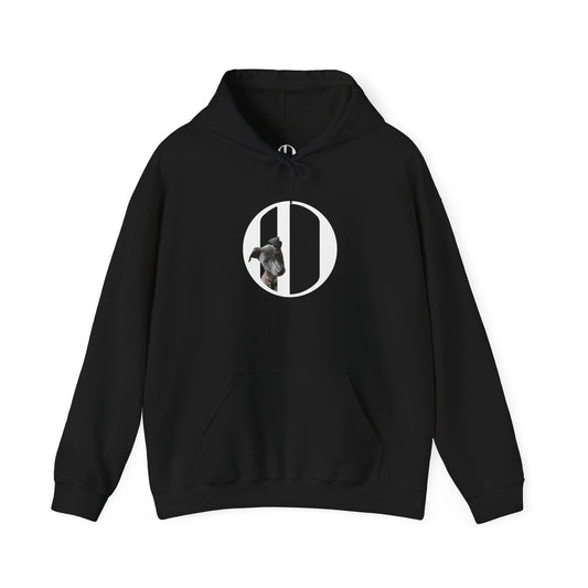 Dog hoodie